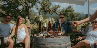 Vignoble