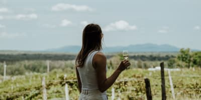 La Route des vins de Brome-Missisquoi