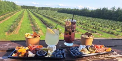 Cocktails et plateau de charcuterie avec vue sur les champs.