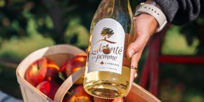 Panier de pommes et bouteille de cidre.