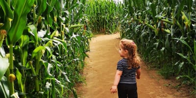 Le Grand Labyrinthe de Lanaudière - Ferme Guy Rivest