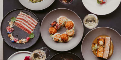 Plats gastronomiques du restaurant Le Napoléon.
