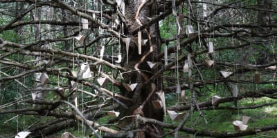 Oeuvre de Land Art réalisée par André Ménard dans le cadre de l'édition 2025 de Les Éphémères de Lac-Beauport.