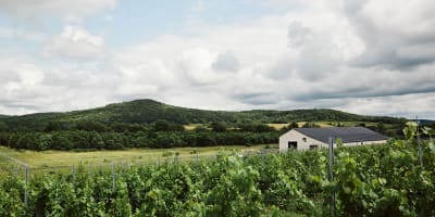 Maison agricole Joy Hill : landscape