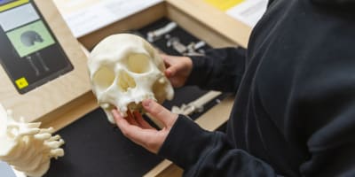 Exhibition on archaeology and criminal investigations.
