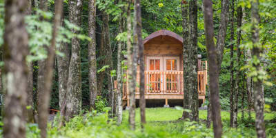 POD in summer.