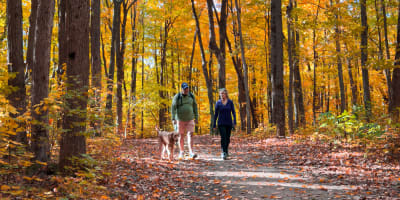 Randonnée au Mont Rigaud.