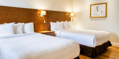 Motel Mistral - Chambre avec deux lits