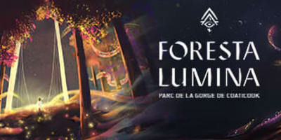 Foresta Lumina.