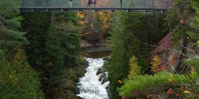 Suspended walkways in the fall beneath the waterfalls. 