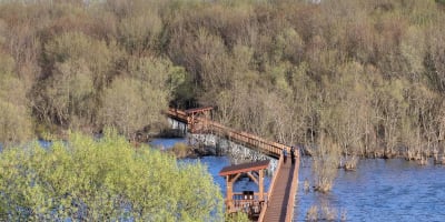 Passerelle en bois au dessus d'un plan d'eau au printemps.