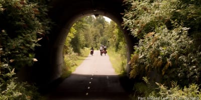Famille à vélo.