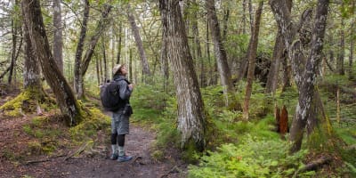 Randonneur regardant la nature dans un sentier. 