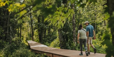 Parc national de Plaisance - A couple walking in the forest