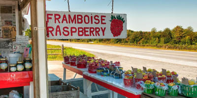au_paradis_des_fruits_dunham_1