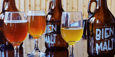 brasserie_artisanale_le_bien_le_malt_1