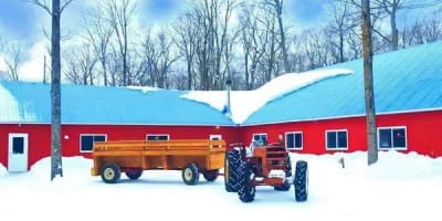 cabane_a_sucre_jacques_gregoire_1