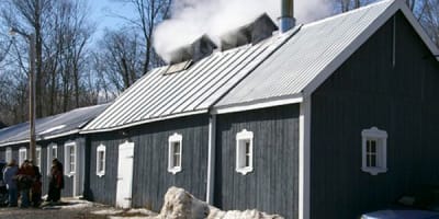 cabane_a_sucre_oswald_1