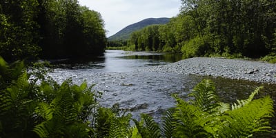 camping_de_la_reserve_faunique_de_matane_1