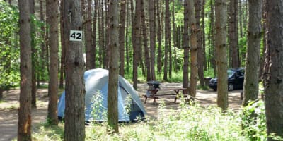camping_le_fou_du_roi_1
