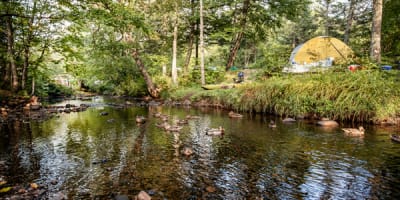 camping_stoneham_1
