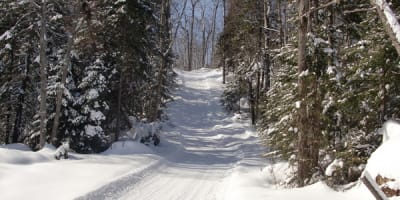 centre_de_ski_de_fond_de_lesterel_hors_limite_1_h