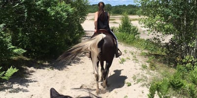 centre_dequitation_ranch_chez_real_1