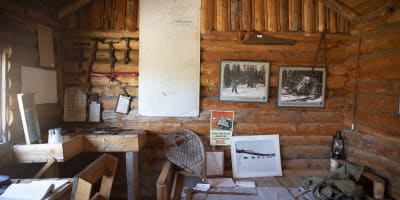 centre_dinterpretation_de_la_vie_en_foret_de_franquelin_1