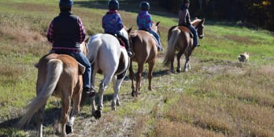 centre_equestre_aurelie_piche_1