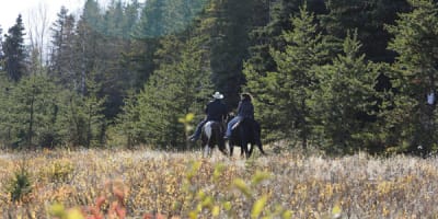 centre_equestre_nature_enr_1