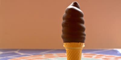 chocolaterie_de_lile_dorleans_1