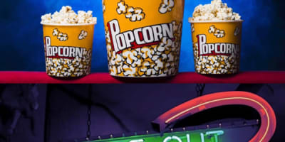 cinema_laurier_mont_laurier_1