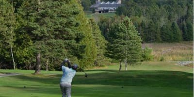 club_de_golf_owls_head_1