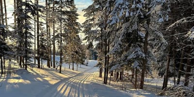 club_de_ski_de_fond_rendez_vous_1_h