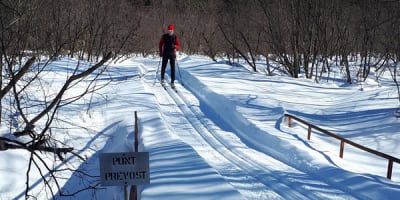 club_de_ski_de_fond_thetford_mines_1_h