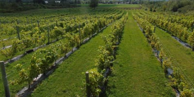 domaine_small_1