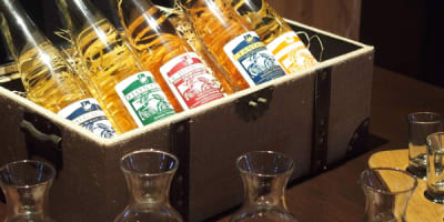 domaine_steinbach___cirdrerie_gite_verger_1