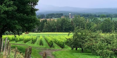 domaine_valbrome_1