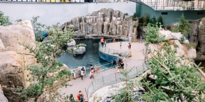 espace_pour_la_vie__biodome_1