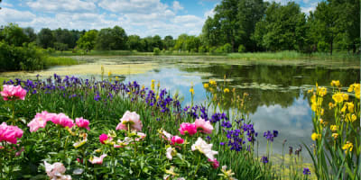 espace_pour_la_vie__jardin_botanique_de_montreal_1