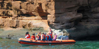excursions_en_mer_inc_1