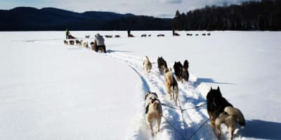 expedition_reve_blanc_1