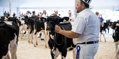 exposition_agricole_regionale_rive_nord_1