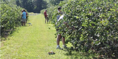 ferme_ethier_les_fruits_soleil_1