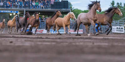festival_country_saint_antonin_1