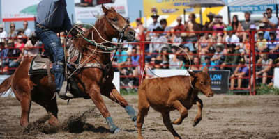 festival_du_cowboy_chambord_1
