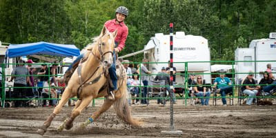 festival_gymkhana_de_falardeau_1