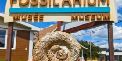 fossilarium_1