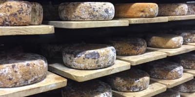 fromagerie_fritz_kaiser_1