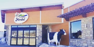 fromagerie_mirabel_1
